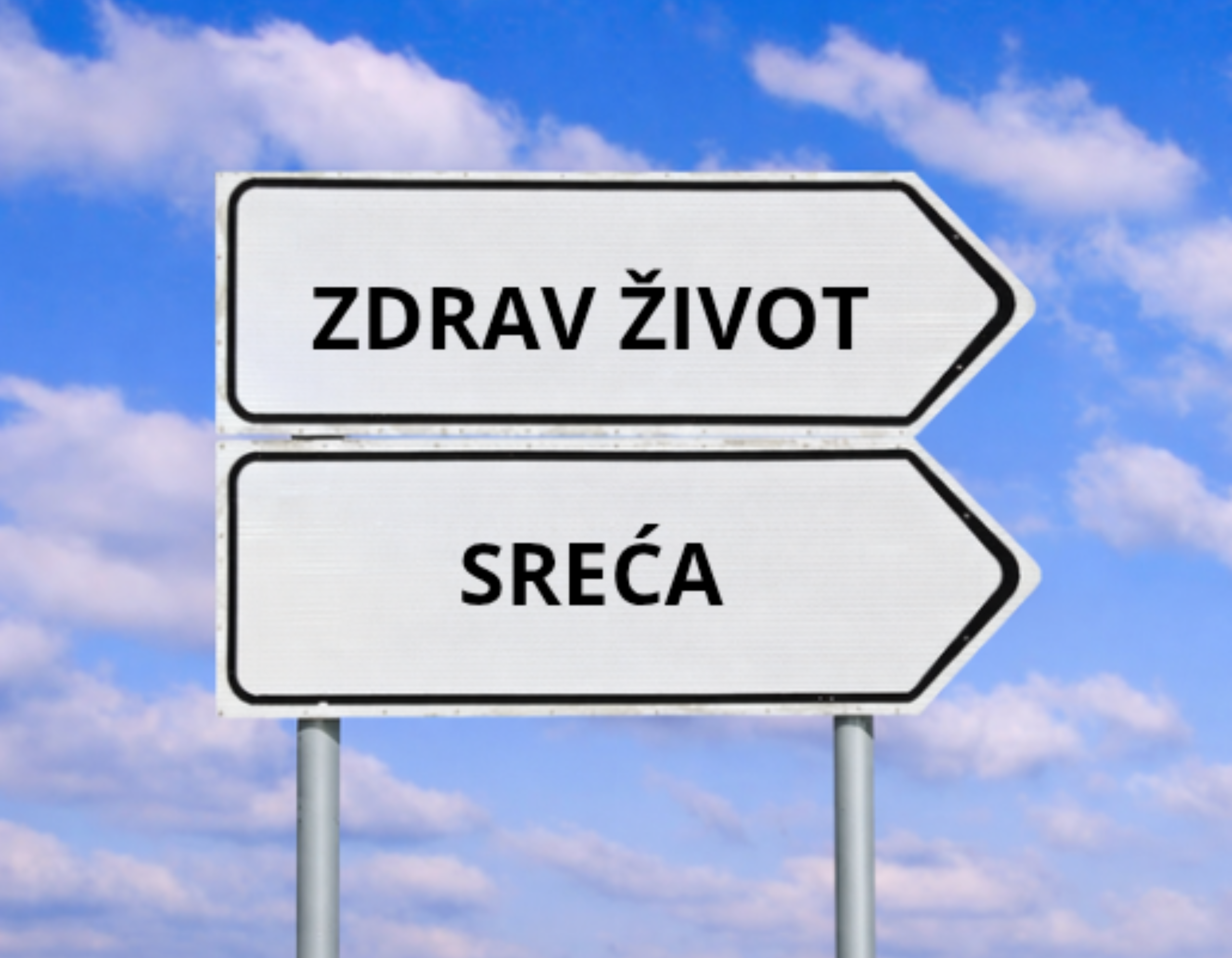 Sirovine svetskih proizvođača
