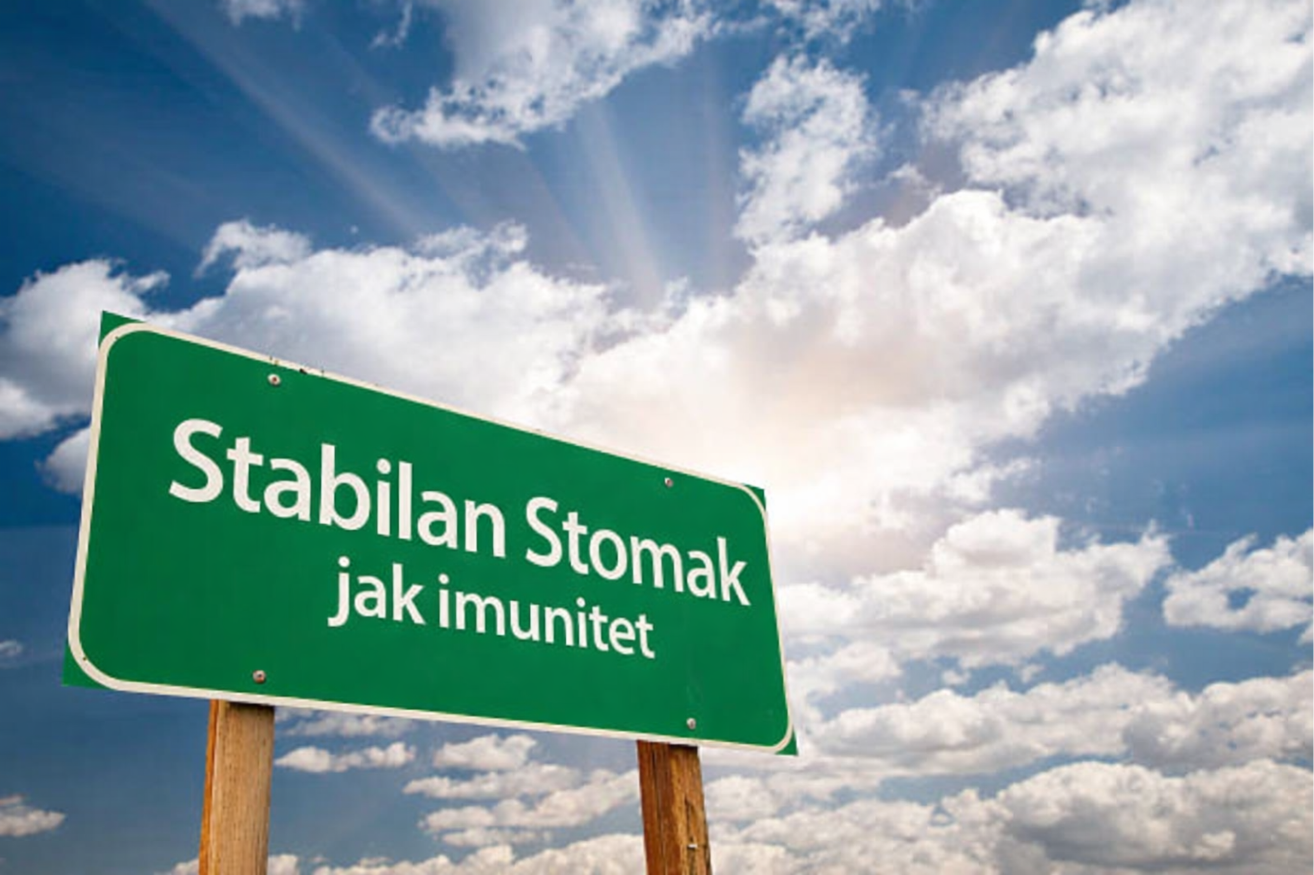 Podrška imunitetu